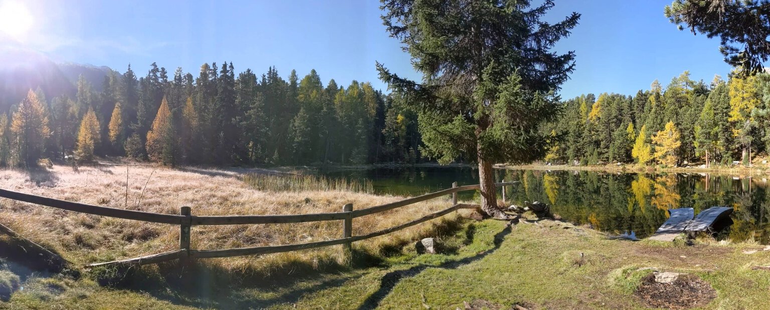 Retriever-Training im Naturpark Silvaplana 2024.
