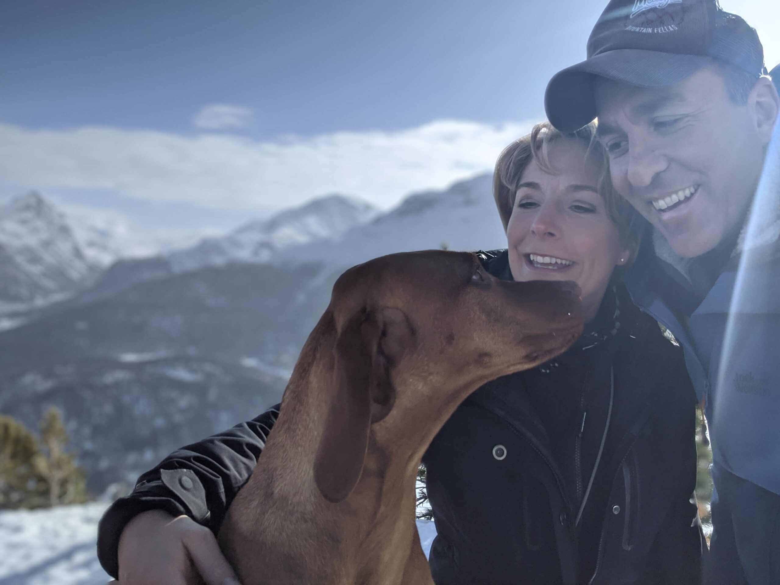 Plattform für Hunde-Events 2 Wir scaled