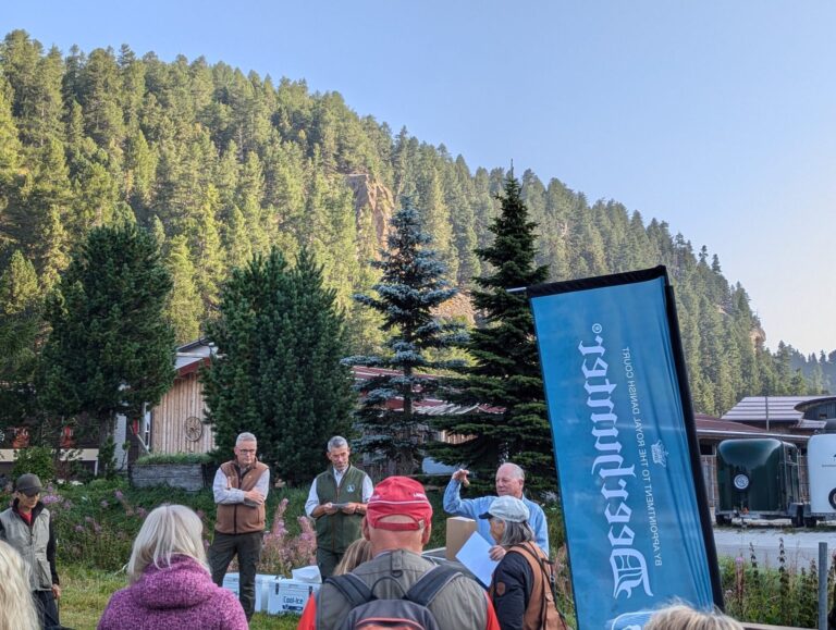 Hunde-Event im Freien mit Hundebesitzern und Trainern, bei RateMyDog Plattform für Hunde-Events.