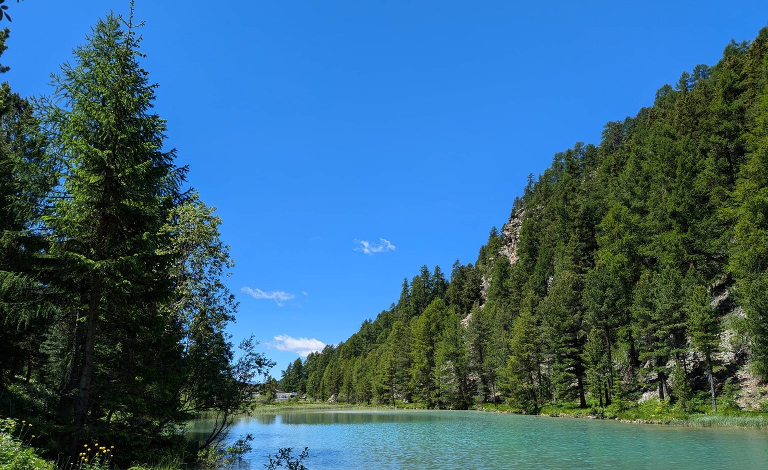 Malerischer Bergsee umgeben von Tannenbäumen bei strahlendem Himmel.