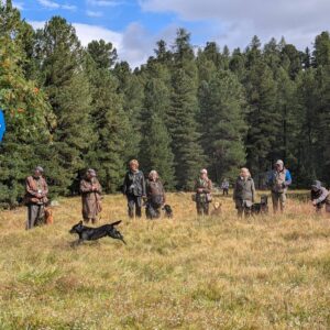 Gruppe von Hunden und Besitzern bei einem Hunde-Event im Freien, umgeben von Bäumen.