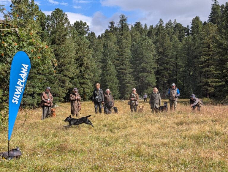 Gruppe von Hunden und Besitzern bei einem Hunde-Event im Freien, umgeben von Bäumen.