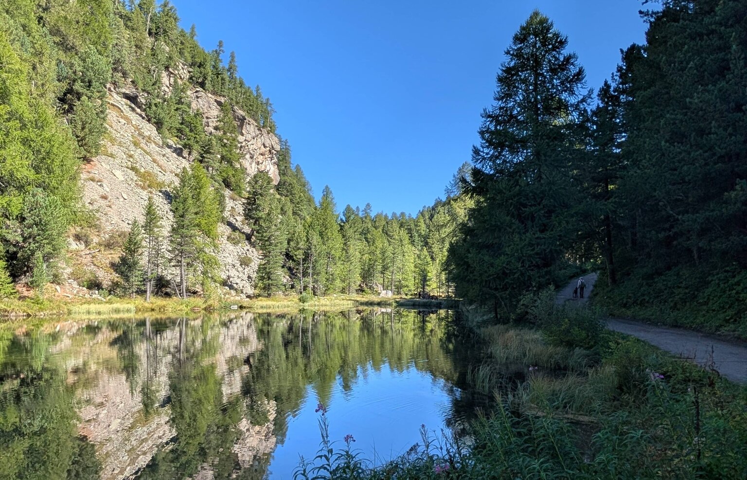 Retriever Working Days Silvaplana 2026.